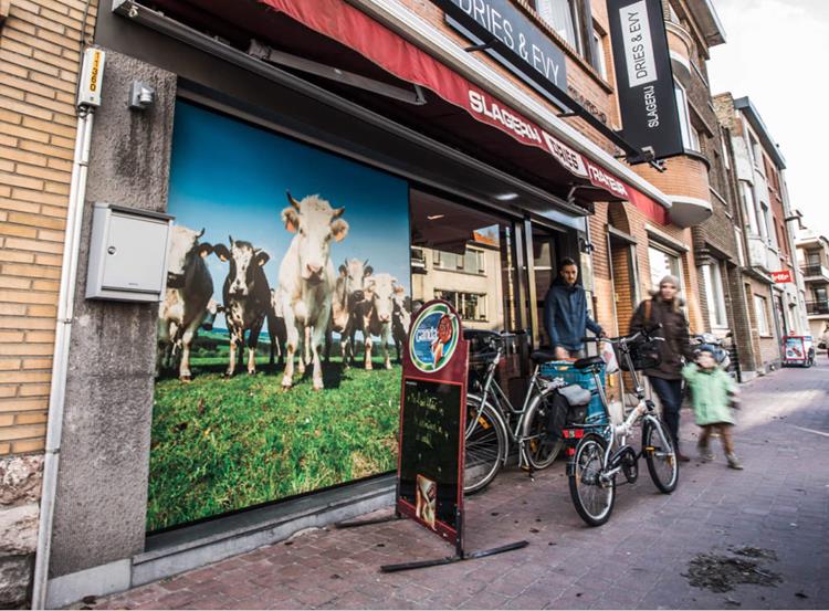Welkom thuis