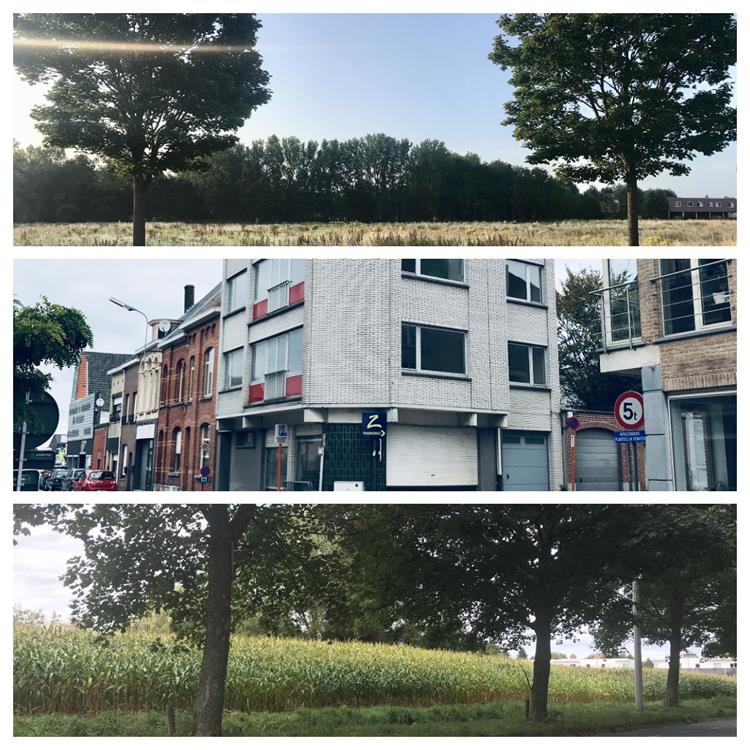 Projecten 2020