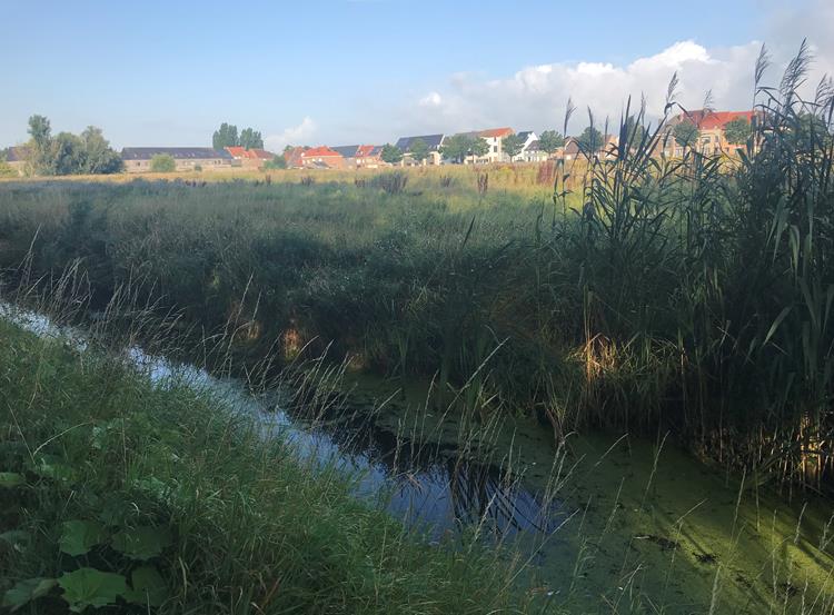 Levenskwaliteit en leefbaarheid