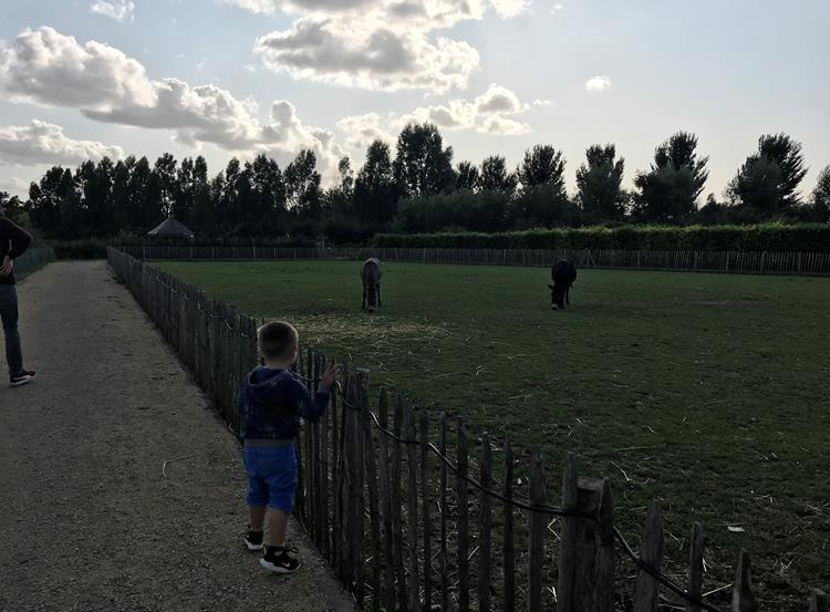 Wonen tussen stad en polders