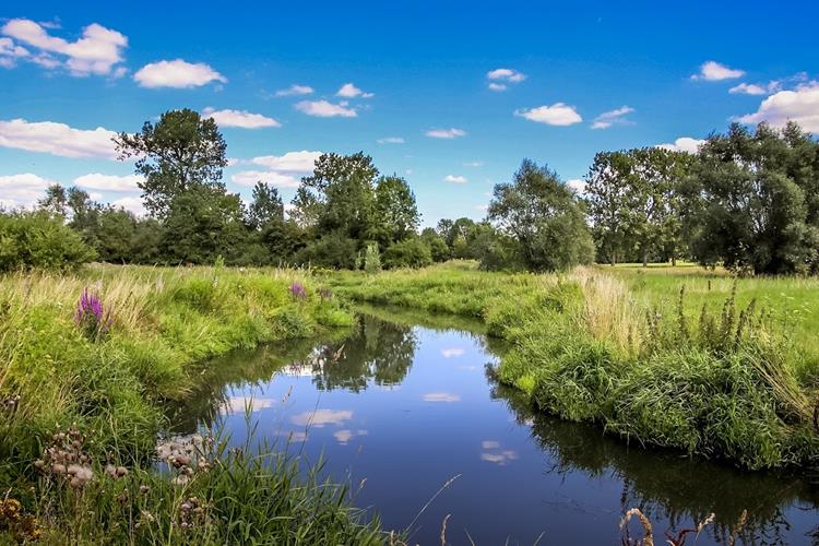 Ons project Eikenhof ligt op een toplocatie in Sint-Pieters-Leeuw, aan de rand van het natuurgebied Zuunvallei