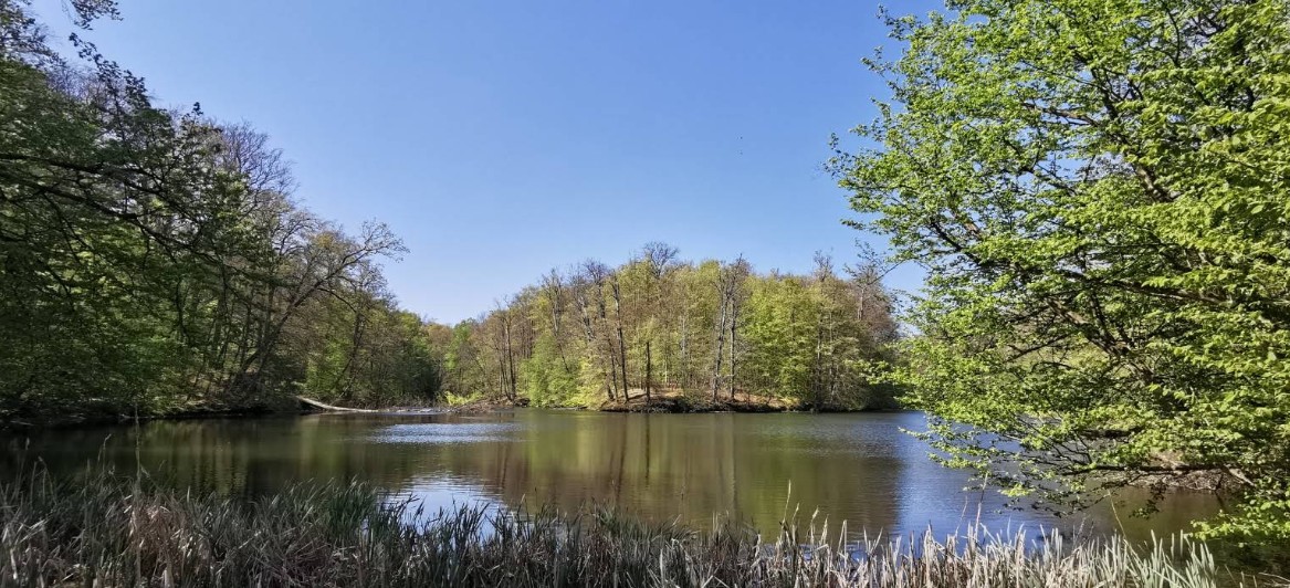 Kleine schaal, groot verschil